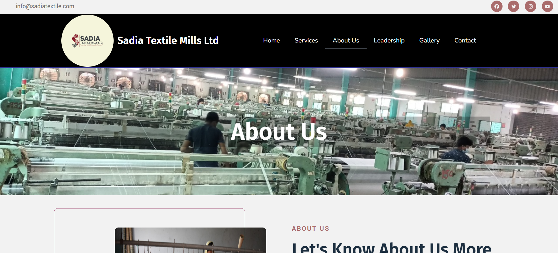 sadia Portfolio Project - Web Design by Applantics