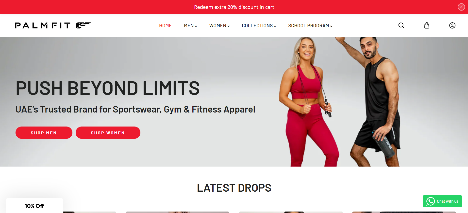 palmfit Portfolio Project - Web Design by Applantics