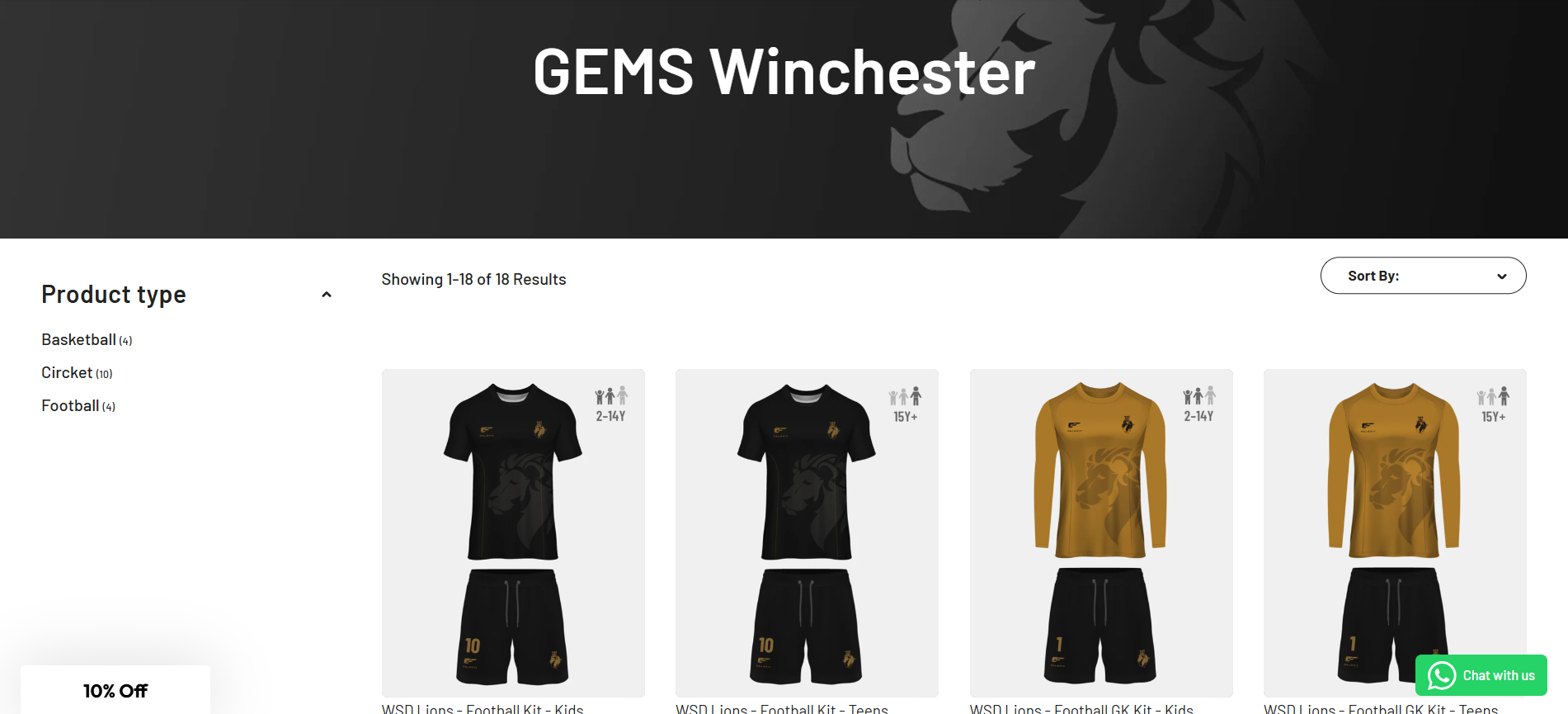 palmfit Portfolio Project - Web Design by Applantics