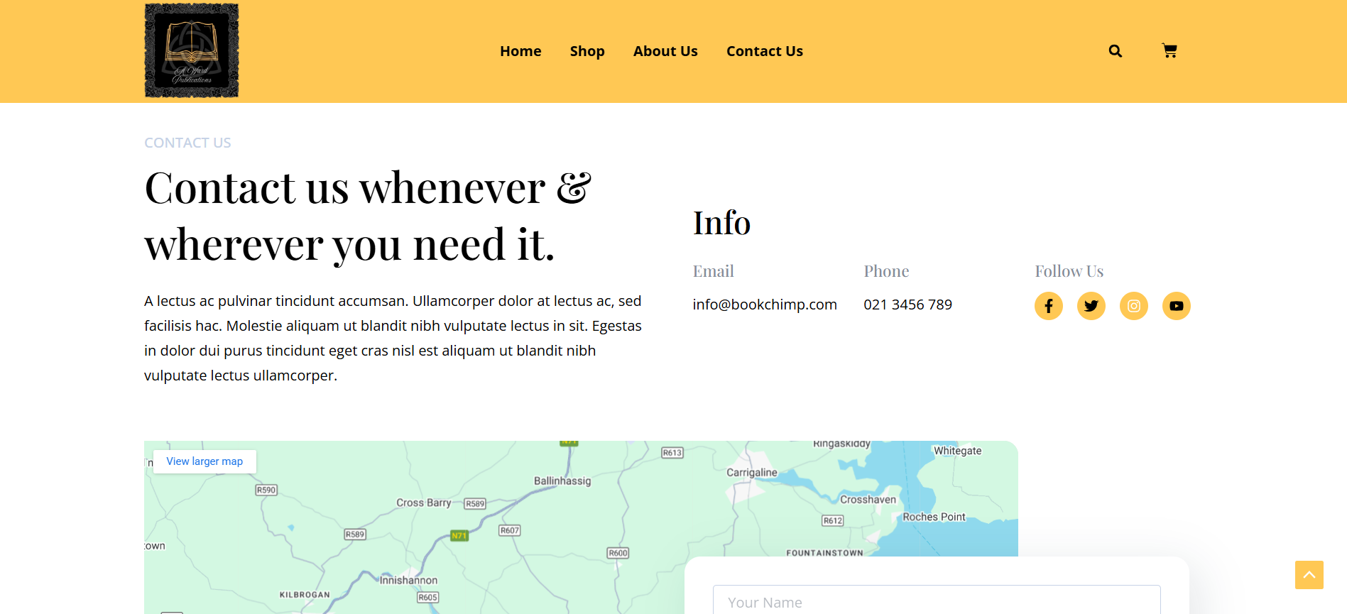 award Portfolio Project - Web Design by Applantics