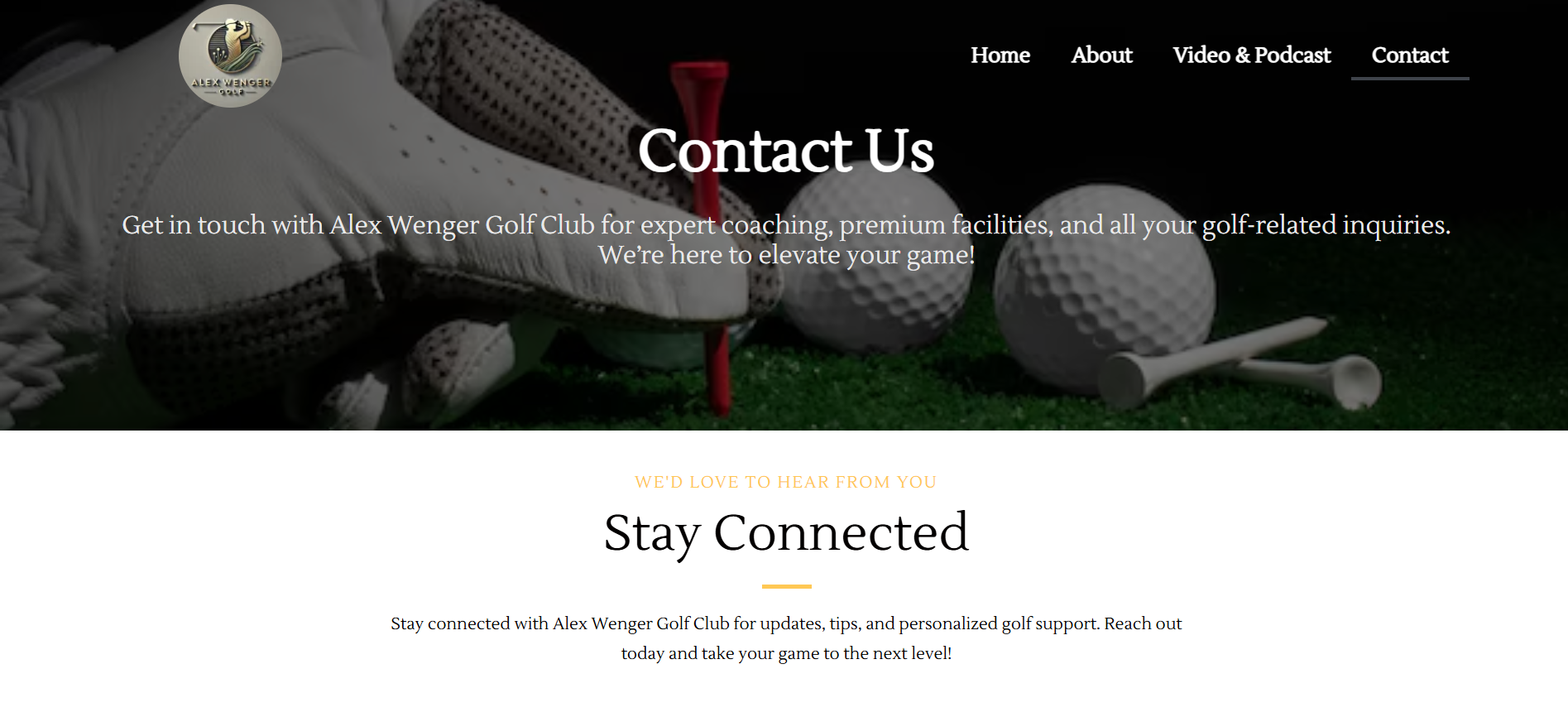 alex Portfolio Project - Web Design by Applantics